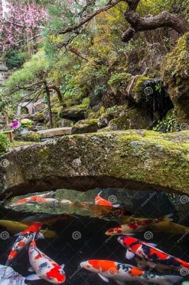 Il ponte di Koi e l'Eleganza delle Linee Fluidi: Un Viaggio attraverso 'Ponte sul fiume Kiyogawa'